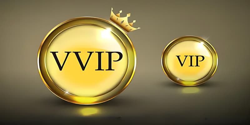 Tại sao VIP Socolive quan trọng?